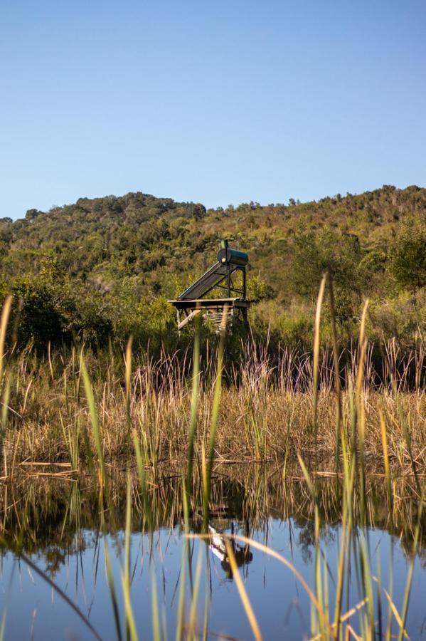 Forest Harmony Knysna Exteriör bild