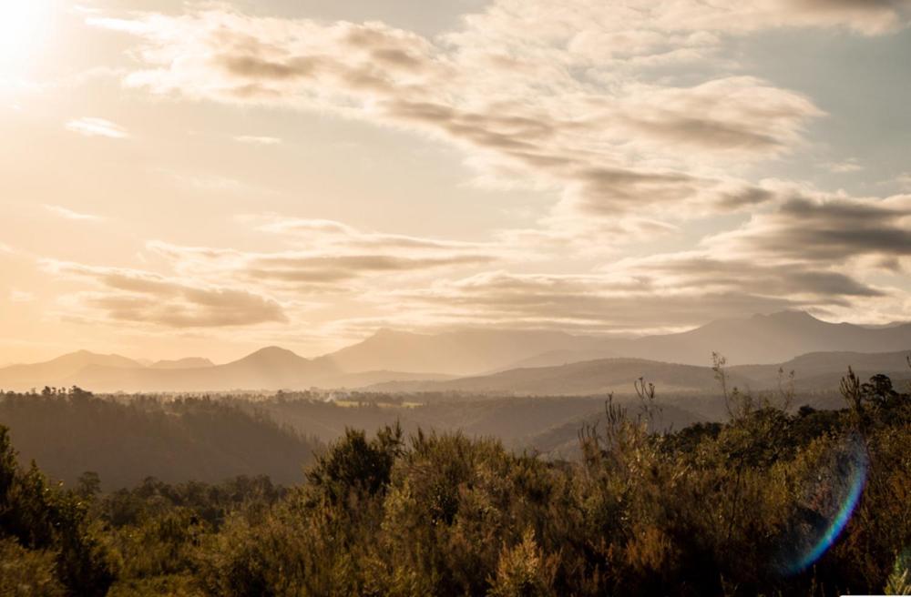Forest Harmony Knysna Exteriör bild